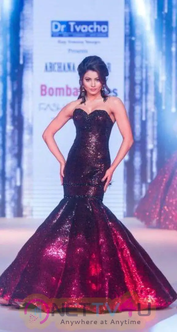  Bombay Times Fashion Week Photos  Hindi Gallery