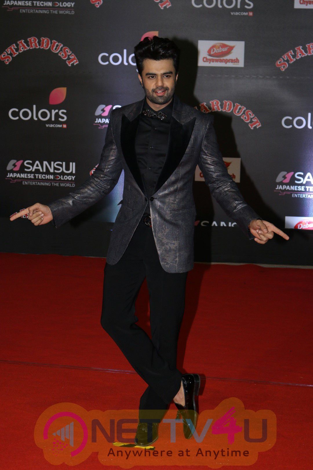 Red Carpet Of The Sansui Stardust Awards With Bollywood Celebs Photos Hindi Gallery