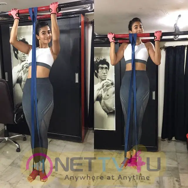 Actress Pooja Hegde Hot And Sexy Images Hindi Gallery