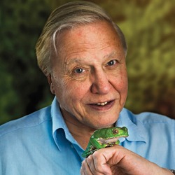 English Writer David Attenborough