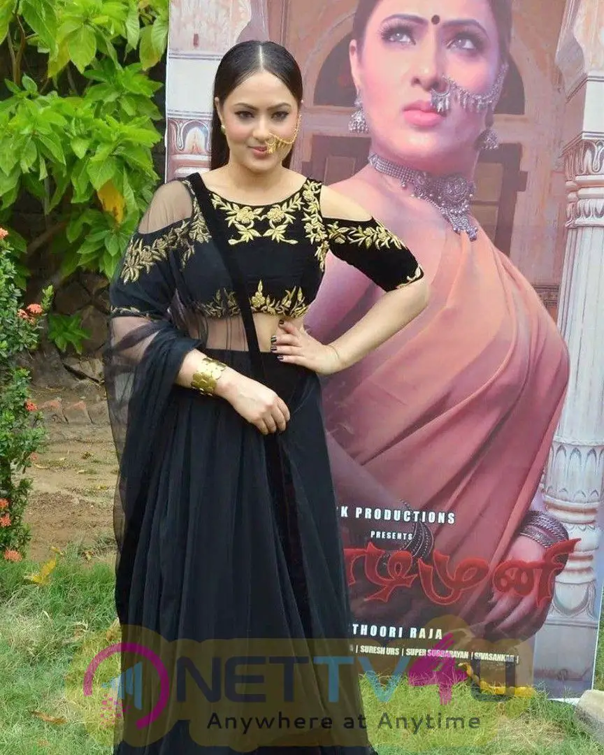 Actress Nikesha Patel Hot Images Kannada Gallery