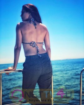 Surveen Chawla Sexy And Hot Images Hindi Gallery