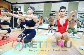 Surveen Chawla Sexy And Hot Images Hindi Gallery