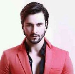 Danish Bhat Hindi Movie Actor