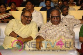 Srivalli Movie Audio Launch Grand Photos Telugu Gallery