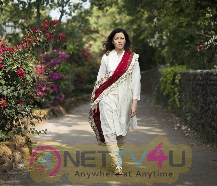 Actress Aditi Govitrikar Good Looking Stills Hindi Gallery