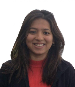 Nandini Pinge Hindi Writer