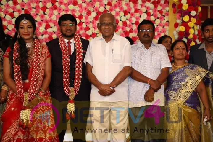 Poovai Mani Family Wedding Reception Pics Tamil Gallery