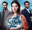 Mere Jeevan Saathi Urdu tv-serials on ARY DIGITAL