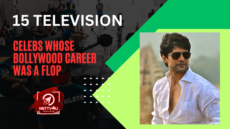 15 Television Celebs Whose Bollywood Career Was A Flop Hindi Article