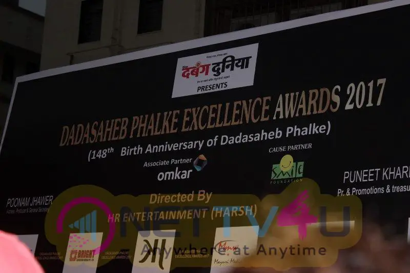 Red Carpet Of Dadasaheb Phalke Excellence Awards 2017 Hindi Gallery