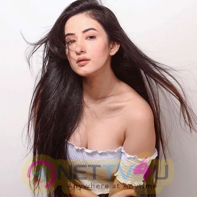 Model Twinkle Kapoor Hot & Sexy Pics  Hindi Gallery