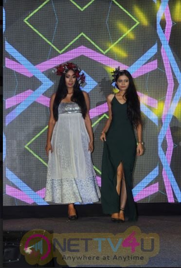 Celebrities Ramp Walk For The Support 6 Different Social Cause Event  Pretty Images Hindi Gallery
