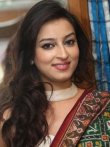 Chandani Sharma Hindi TV-Actress