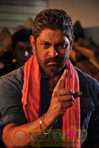 Jagapathi Babu New Movie Surya Bhai Stills Telugu Gallery