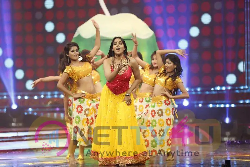 Zee Tv Apsara Awards Spectacular Photos  Telugu Gallery