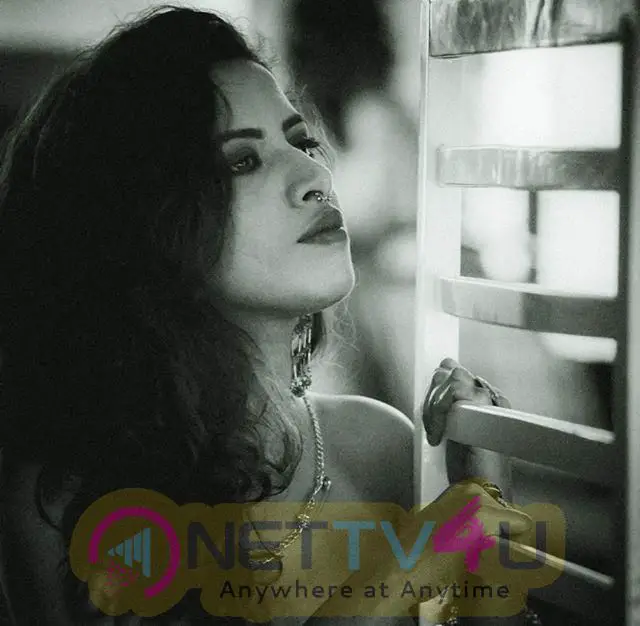 Model Nastiya Roy Artful Stills Kannada Gallery