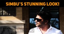 Is This Simbu? Wow! He Looks Stunning!