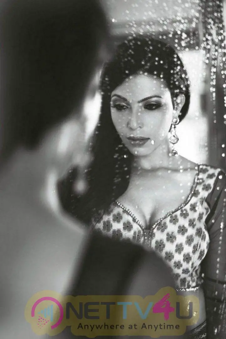 Actress Shilpa Shukla Mesmeric Stills  Hindi Gallery