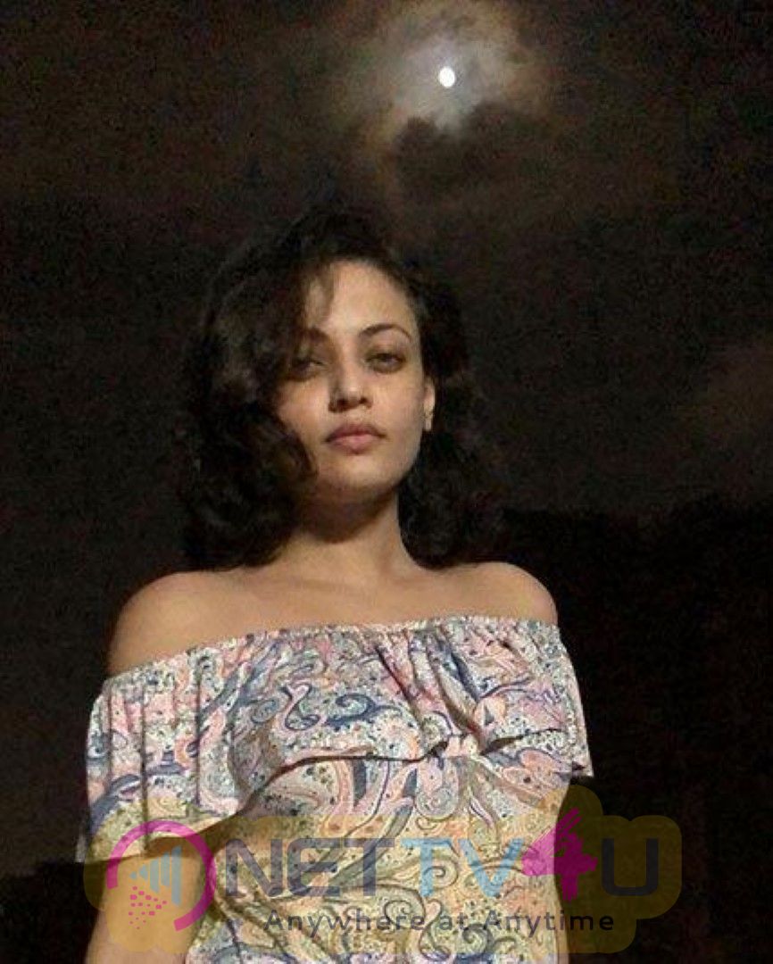 Actress  Sneha Ullal Latest Glamorous Stills  Telugu Gallery