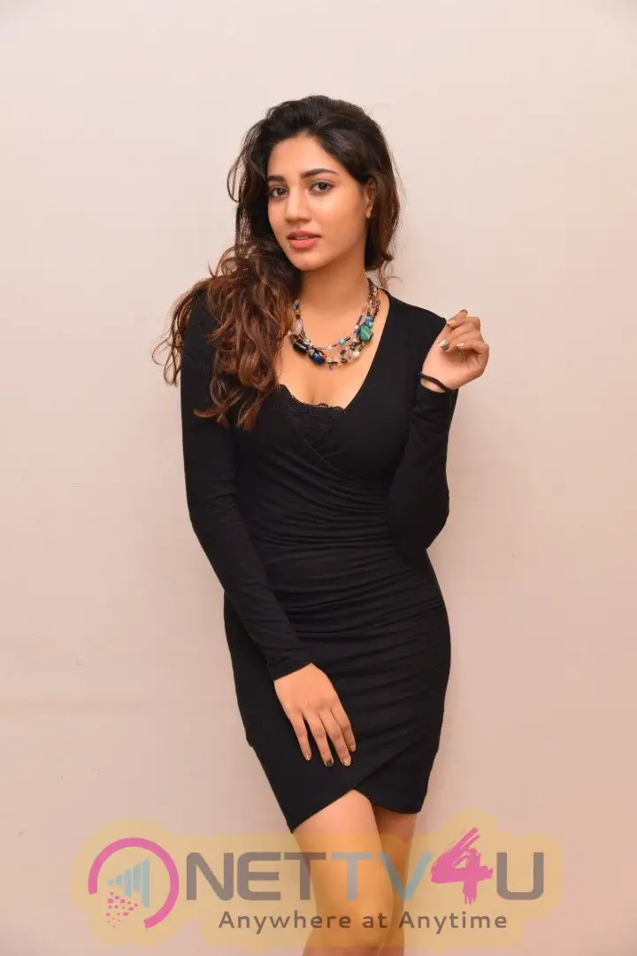 Actress  Sonakshi Shing Beautiful Stills  Telugu Gallery