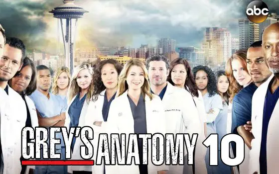 English Tv Serial Greys Anatomy Season 10 Synopsis Aired On ABC Channel