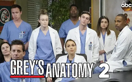 English Tv Serial Greys Anatomy Season 2 Synopsis Aired On ABC Channel