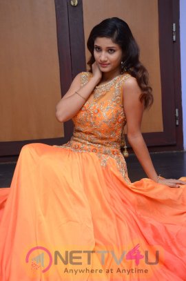Actress Arthi Latest High Quality Photos Telugu Gallery