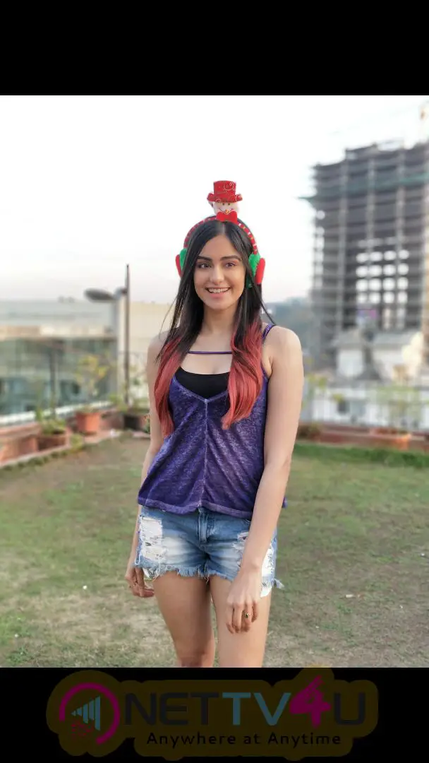 Actress Adah Sharma Christmas Celebration Photos Hindi Gallery