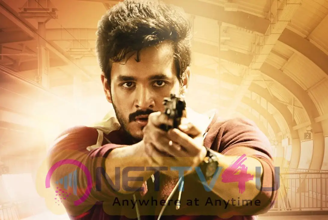 Akhil Hello Movie Stills Telugu Gallery