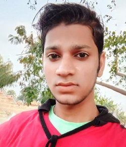 Firdaush Hindi Supporting Actor