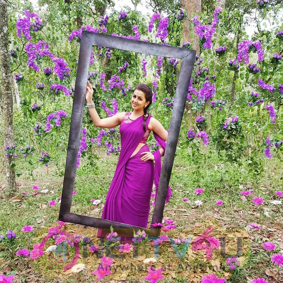 Actress Nikki Galrani Attractive Stills Tamil Gallery