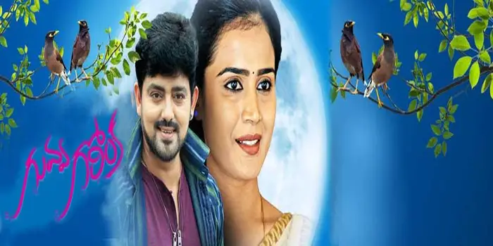 Telugu Tv Serial Guvva Gorinka Synopsis Aired On ETV Telugu Channel