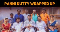 Panni Kutty Wrapped Up!