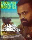 Pakalum Paathiraavum Movie Review Malayalam Movie Review