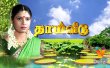 Thai Veedu Tamil tv-serials on Vendhar TV