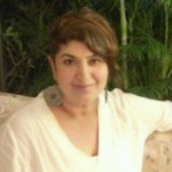 Chhitra Subramaniam Hindi Executive Producer