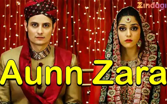Hindi Tv Serial Aunn Zara Synopsis Aired On Zindagi TV Channel