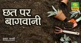 Chhat Par Bagwani
