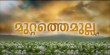 Muttathe Mulla Malayalam tv-serials on Asianet TV