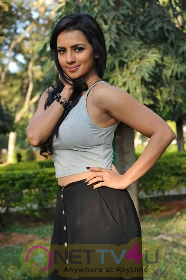 Actress Sruthi Hariharan Saree Photo  Veethi