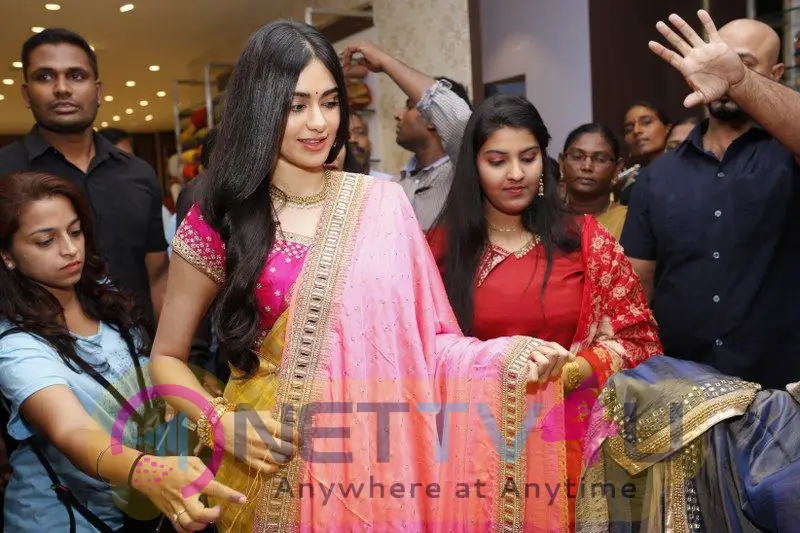 Adah Sharma Launches Saree Niketan Grand pics Telugu Gallery