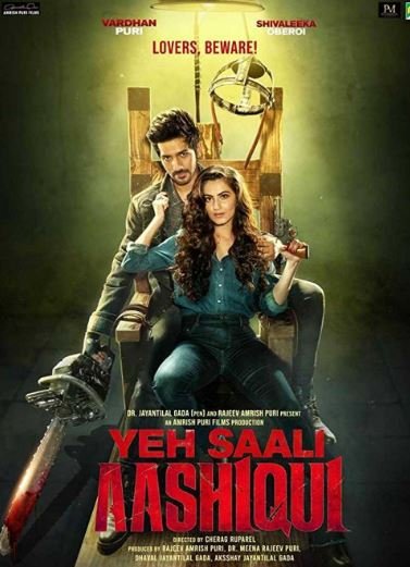 Yeh Saali Aashiqui Movie Review