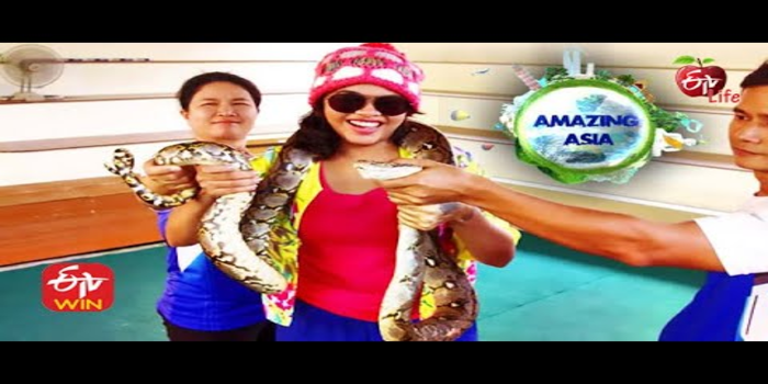 Amazing Asia Telugu TV SHOWS on ETV Life