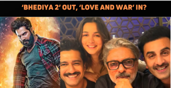 Bhediya 2 To Make Way For Love And War?