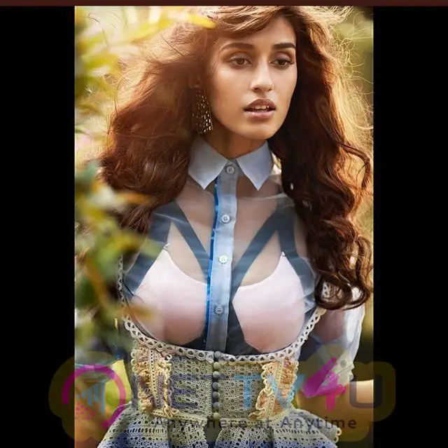 Actress Disha Patani Latest Hot And Sexy Pics 566875 Galleries And Hd