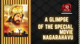 A Glimpse Of The Special Movie Nagarahavu