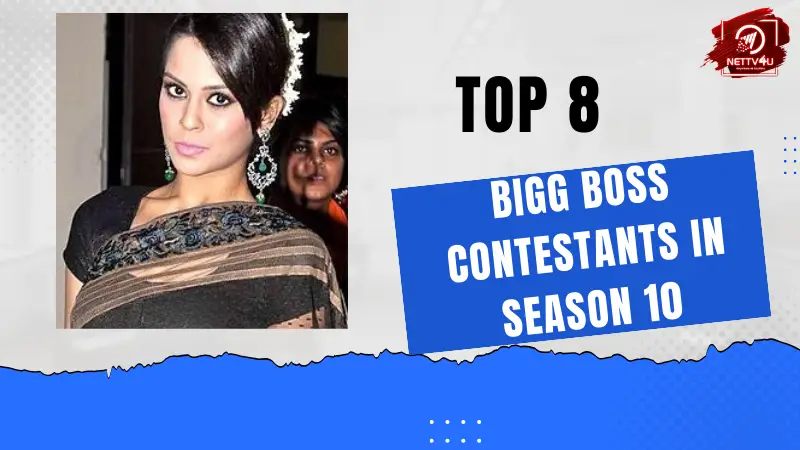 Top 8 Bigg Boss Contestants In Season 10 Hindi Article