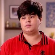 Mihir Arora Hindi TV-Actor