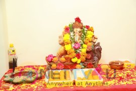 Akritti Elite Exhibition And Sale Launch At Taj Deccan Excellent Stills